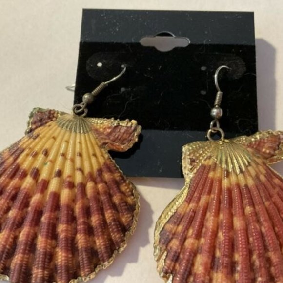 GOLD TRIM SEA SHELL EARRINGS Unique Coloring Beautiful Pcd Earrings - Picture 3 of 4
